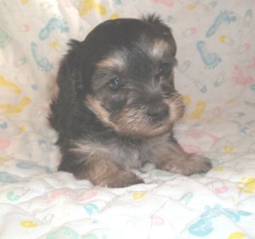 click here to see me grow
