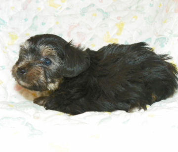 click here to see me grow