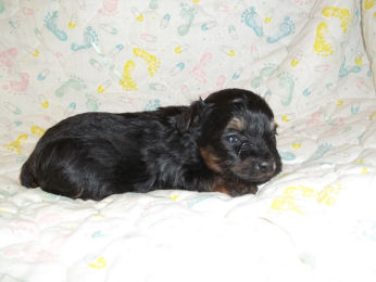 click here to see me grow